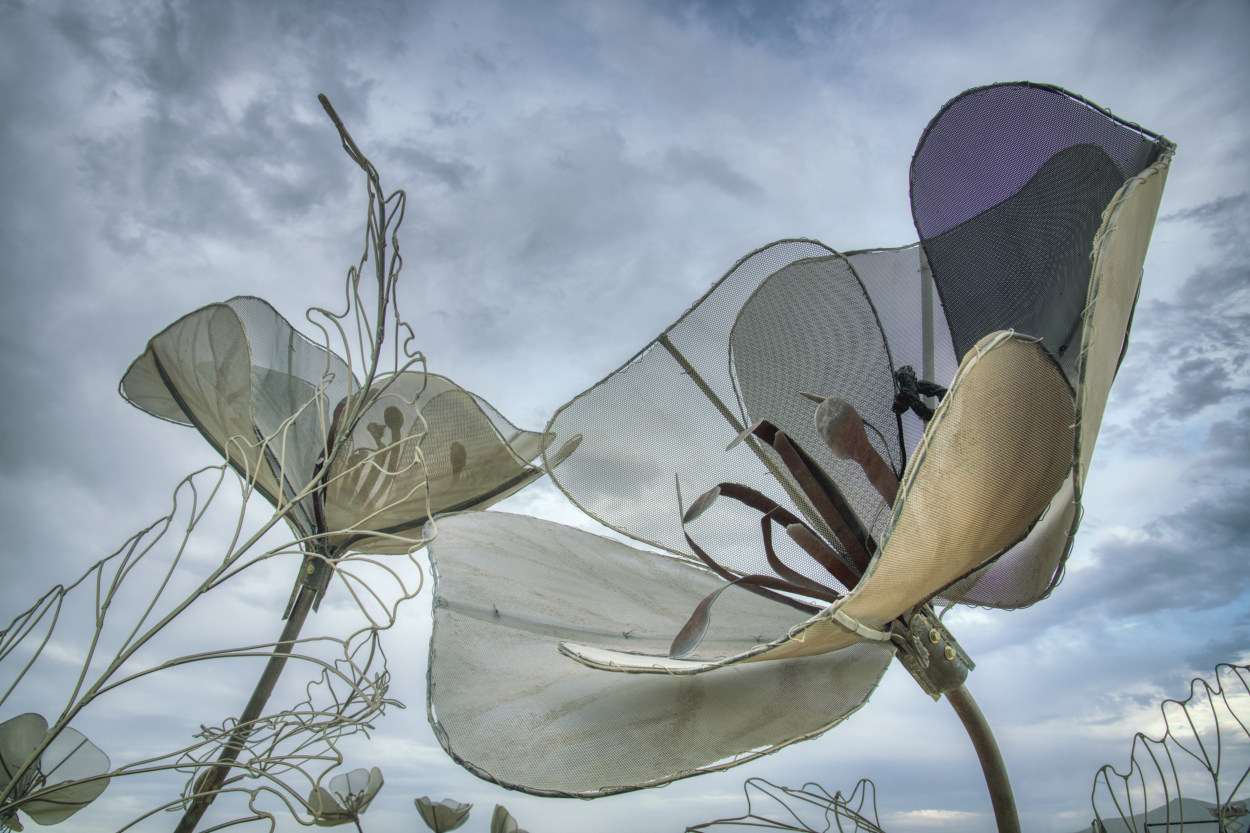 Burning Man 2019   0783